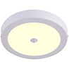 HLW LED LED Downlight 18W Warm Wit 2700K - Opbouw LED Met PIR Bewegingssensor HLW LED LED Downlight 18W Warm Wit 2700K - Opbouw LED Met PIR Bewegingssensor