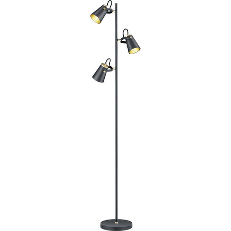 LED Vloerlamp Trion Edwy - Mat Zwarte 3-lichts Vloerlamp met E14 fitting