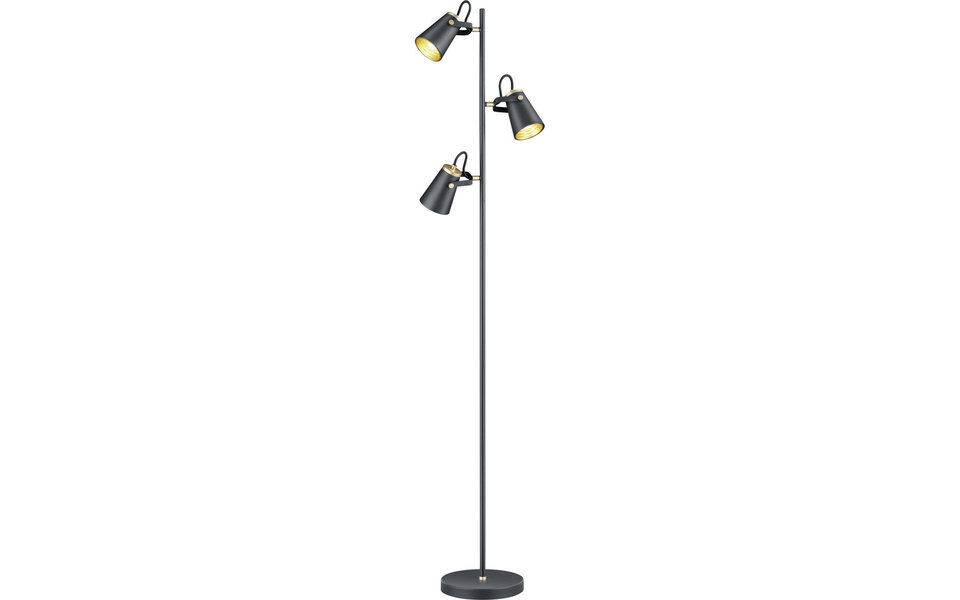 HLW LED LED Vloerlamp Trion Edwy - Mat Zwarte 3-lichts Vloerlamp met E14 fitting