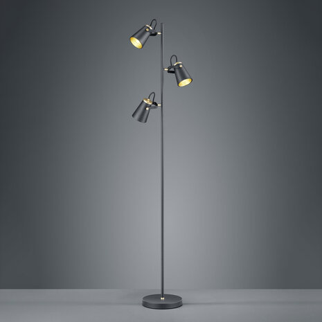 HLW LED LED Vloerlamp Trion Edwy - Mat Zwarte 3-lichts Vloerlamp met E14 fitting