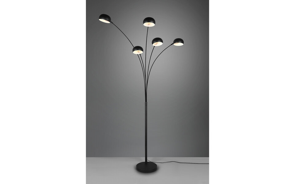 HLW LED LED Vloerlamp Trion Ditora - Zwarte Vloerlamp met 5x E14 Fitting en Aluminium