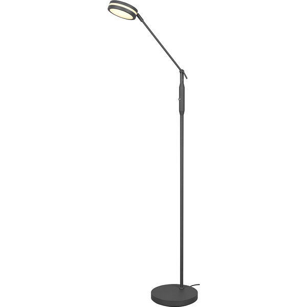 HLW LED LED Vloerlamp 5W - Dimbaar, Aanpasbare Kleur & Mat Antraciet Design