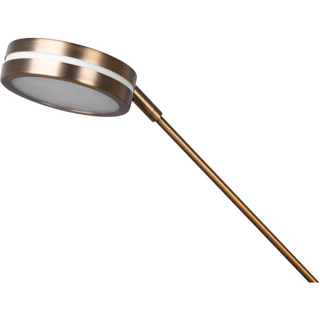 HLW LED LED Vloerlamp Dimbaar 5W - Bronzen Vloerlamp met Aanpasbare Kleur