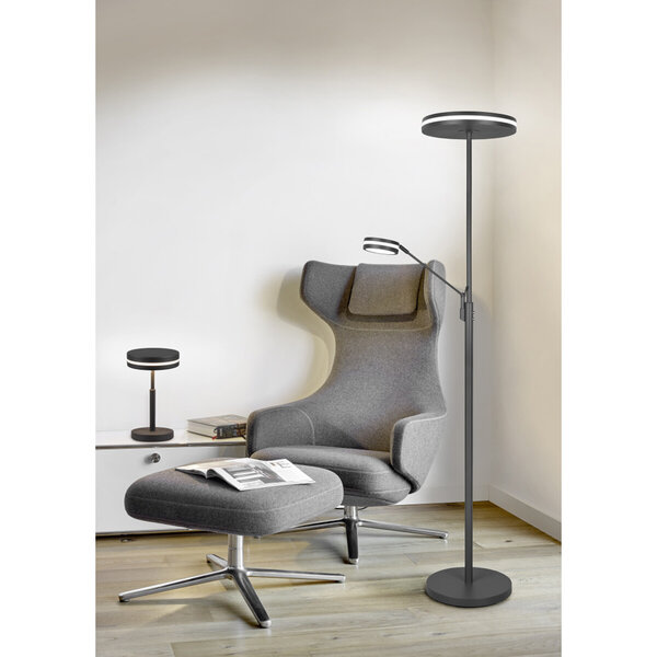 HLW LED LED Vloerlamp 5W - Dimbaar, Aanpasbare Kleur & Mat Antraciet Design