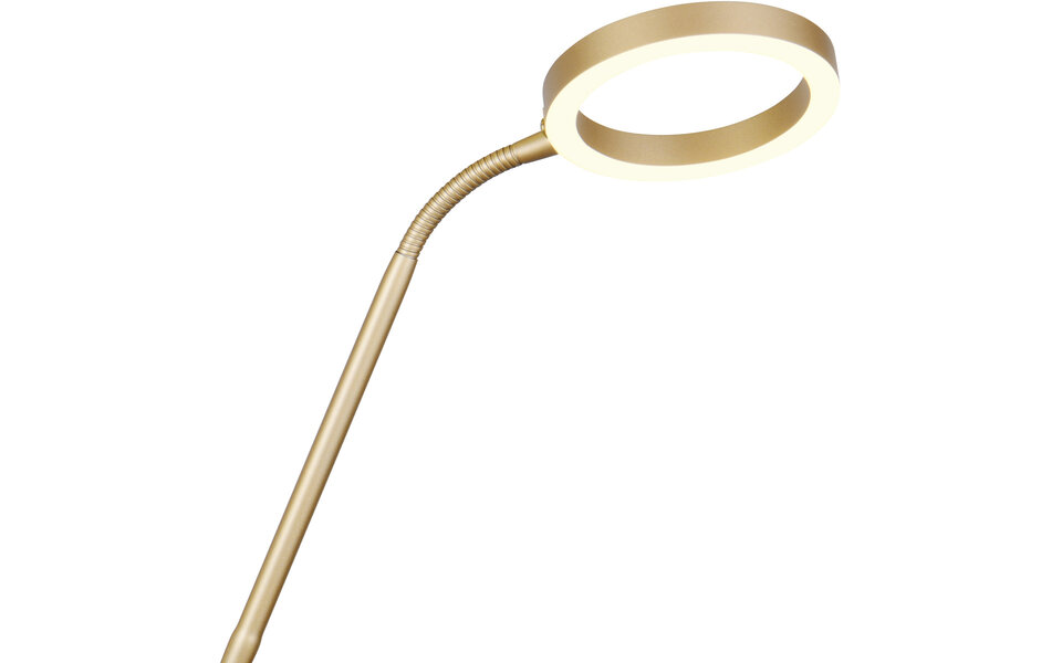 HLW LED Dimbare LED Vloerlamp - Gouden Metalen Vloerlamp met 5W LED en Aanpasbare Kleur