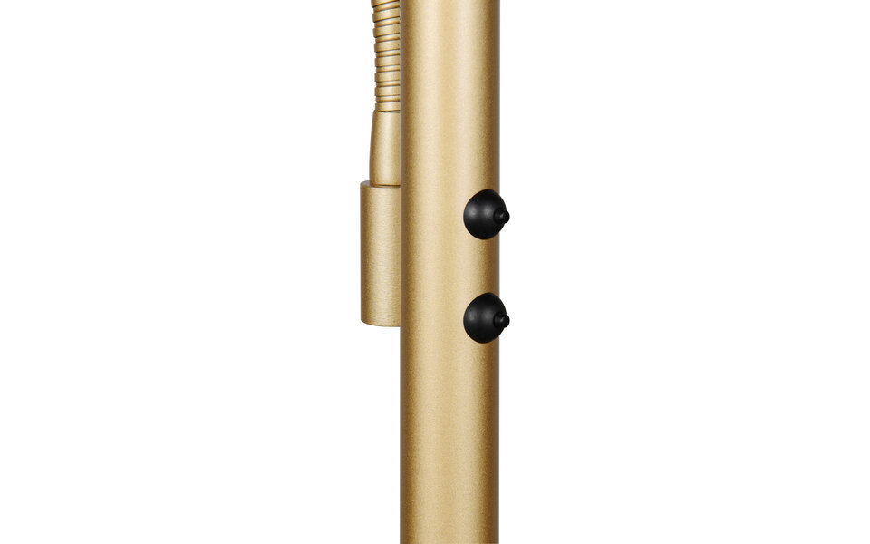 HLW LED Dimbare LED Vloerlamp - Gouden Metalen Vloerlamp met 5W LED en Aanpasbare Kleur