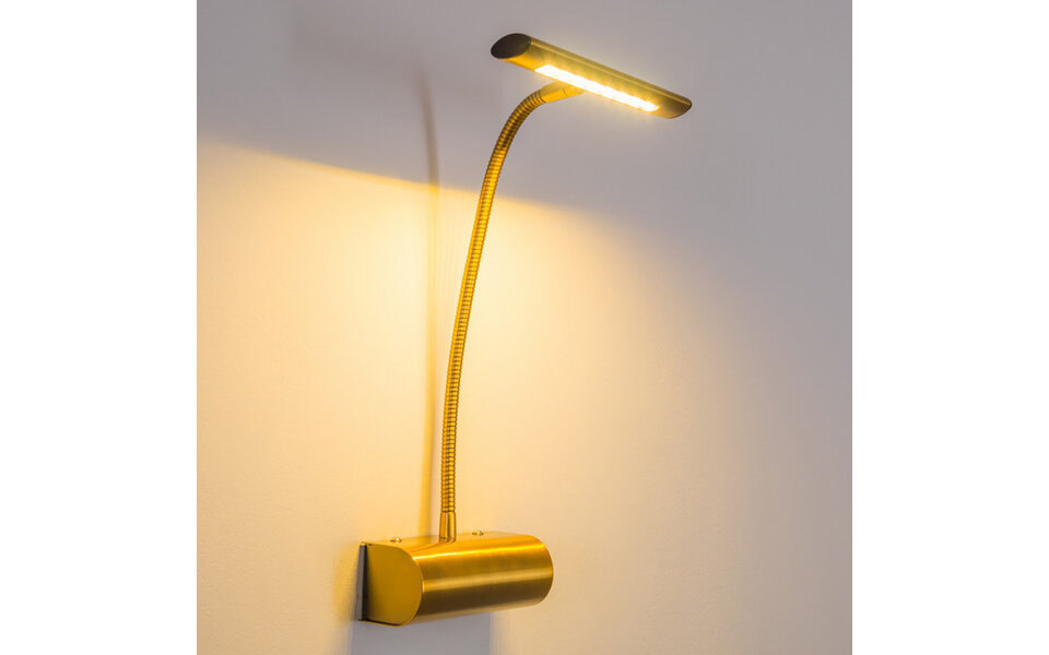 HLW LED Dimbare LED Spiegelverlichting & Schilderijverlichting 4W Warm Wit 3000K Oud Brons