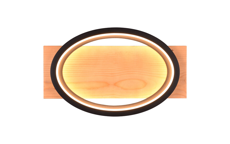 HLW LED Dimbare LED Wandlamp 16W in Mat Zwart Metaal - Warm Wit 2700K-3000K, Beam Angle Verstelbaar