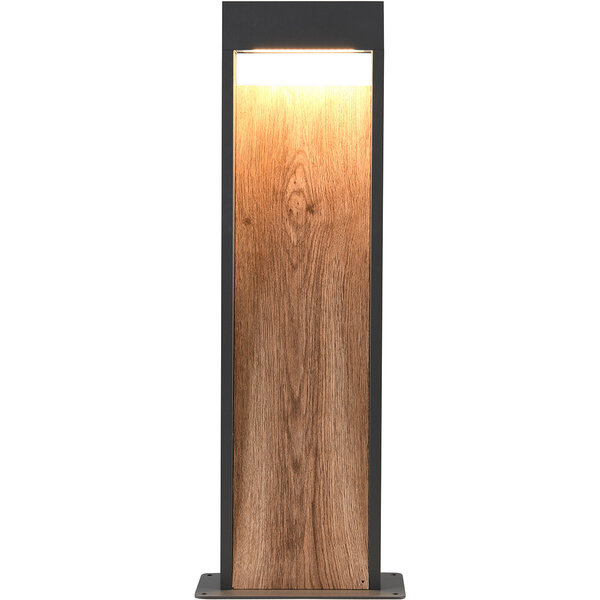 HLW LED Trion Selman LED Vloerlamp Buiten - Warm Wit 11W - Waterdicht Tuin Wandlamp