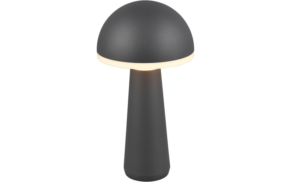 HLW LED LED Tafellamp Trion Lungo 2W - Aanpasbare kleur & oplaadbare batterij, antraciet aluminium