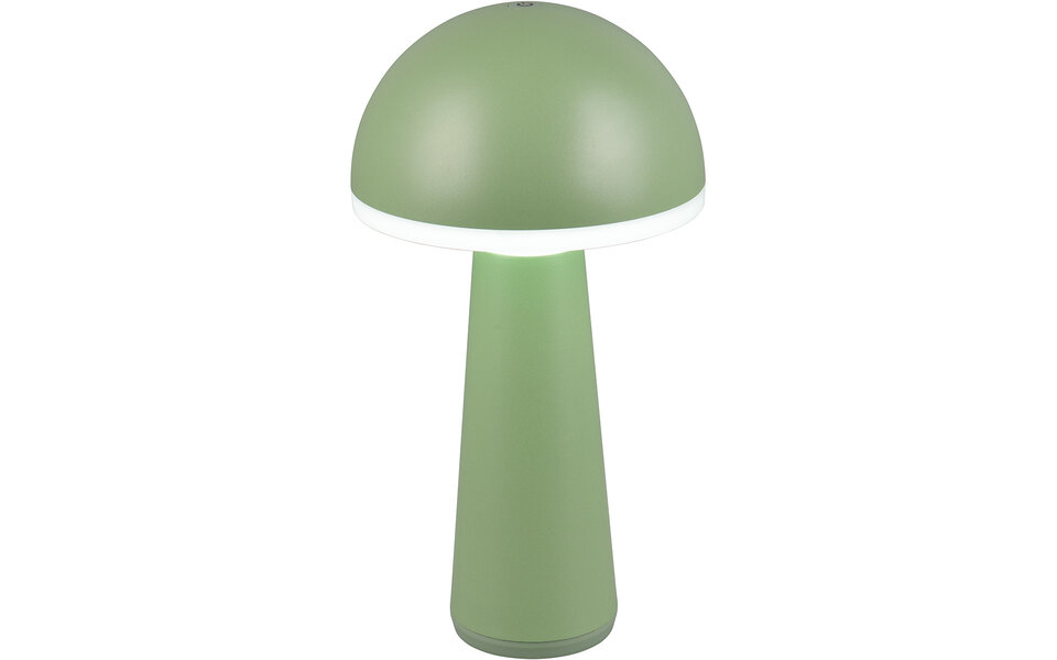 HLW LED LED Tafellamp Trion Lungo 2W - Pistachegroen - Aanpasbare Kleur & Oplaadbare Batterijen HLW LED LED Tafellamp Trion Lungo 2W - Pistachegroen - Aanpasbare Kleur & Oplaadbare Batterijen