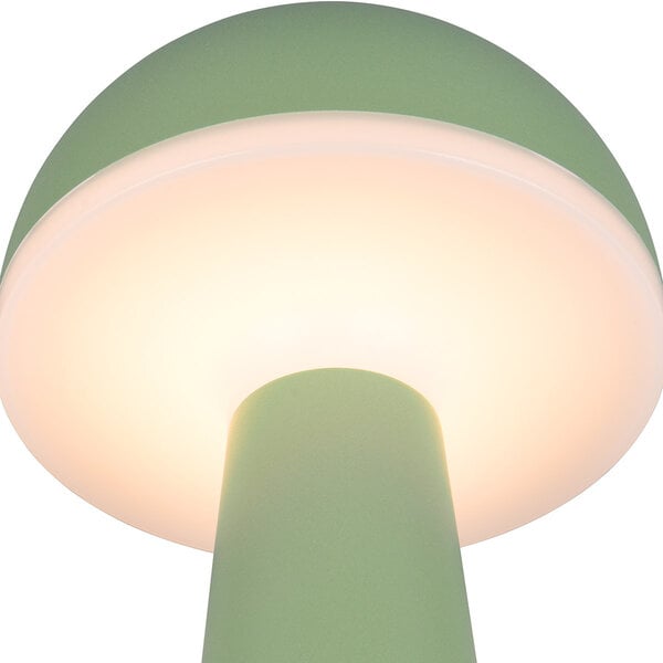 HLW LED LED Tafellamp Trion Lungo 2W - Pistachegroen - Aanpasbare Kleur & Oplaadbare Batterijen