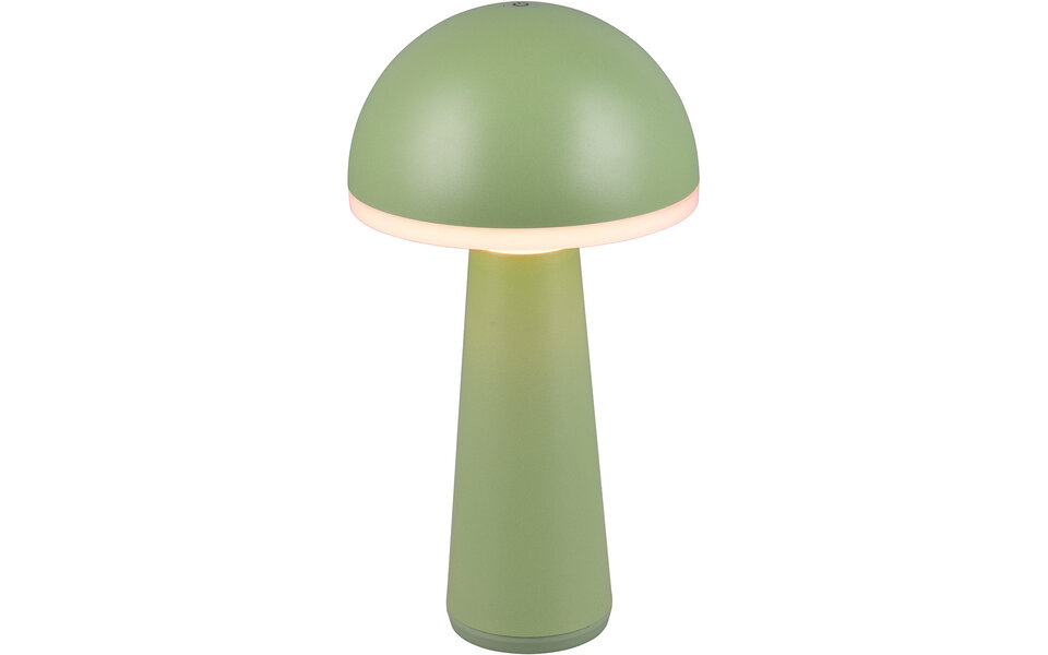 HLW LED LED Tafellamp Trion Lungo 2W - Pistachegroen - Aanpasbare Kleur & Oplaadbare Batterijen HLW LED LED Tafellamp Trion Lungo 2W - Pistachegroen - Aanpasbare Kleur & Oplaadbare Batterijen