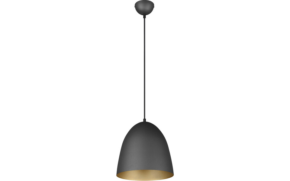 HLW LED Stijlvolle LED Hanglamp Trion Lopez - Mat Zwart & Gouden Lichtvenster - E27 Fitting