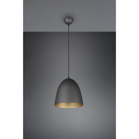HLW LED Stijlvolle LED Hanglamp Trion Lopez - Mat Zwart & Gouden Lichtvenster - E27 Fitting HLW LED Stijlvolle LED Hanglamp Trion Lopez - Mat Zwart & Gouden Lichtvenster - E27 Fitting