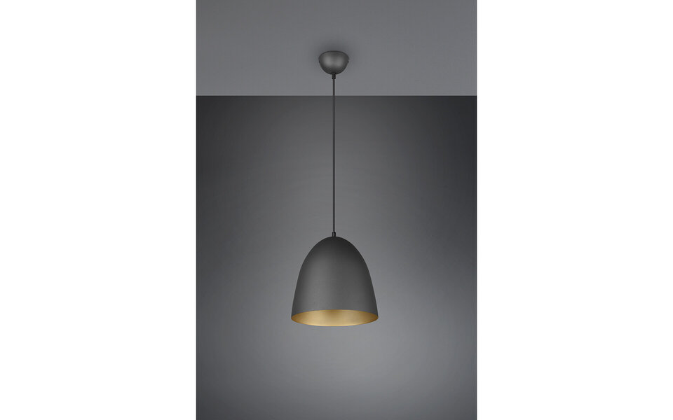 HLW LED Stijlvolle LED Hanglamp Trion Lopez - Mat Zwart & Gouden Lichtvenster - E27 Fitting