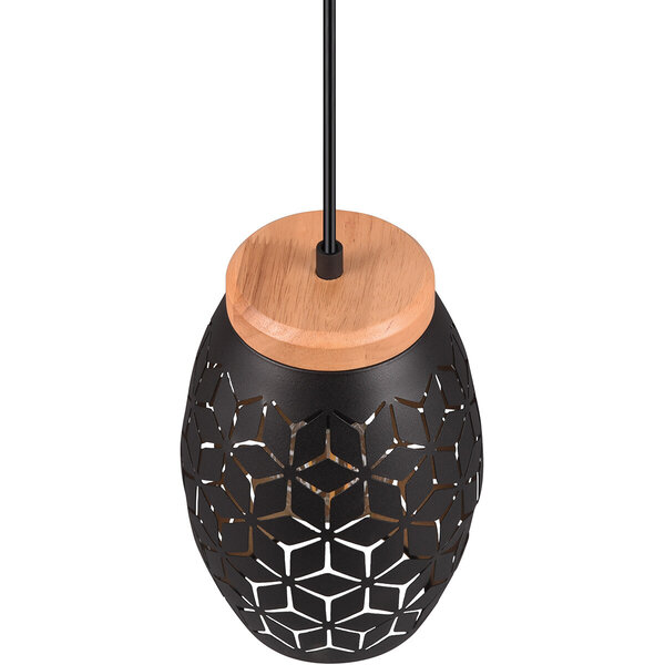 HLW LED Elegante LED Hanglamp Zwart/Goud - Metalen LED Lamp met E27 Fitting HLW LED Elegante LED Hanglamp Zwart/Goud - Metalen LED Lamp met E27 Fitting