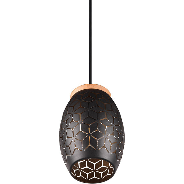 HLW LED Elegante LED Hanglamp Zwart/Goud - Metalen LED Lamp met E27 Fitting HLW LED Elegante LED Hanglamp Zwart/Goud - Metalen LED Lamp met E27 Fitting