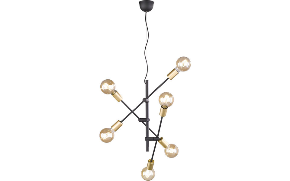 HLW LED Gouden LED Hanglamp Trion Ross - 6-lichts E27 Fitting, Mat Goud, Aluminium