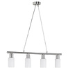 HLW LED Trion Smast LED Hanglamp - Mat Nikkel, Aluminium & 4x E14 Fitting