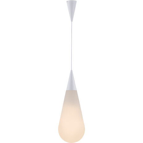 HLW LED Witte LED Hanglamp Trion Renny 4W - Warm Wit 3000K - Rond Mat Chroom