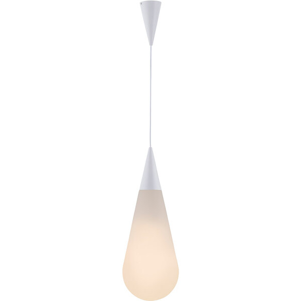 HLW LED Witte LED Hanglamp Trion Renny 4W - Warm Wit 3000K - Rond Mat Chroom