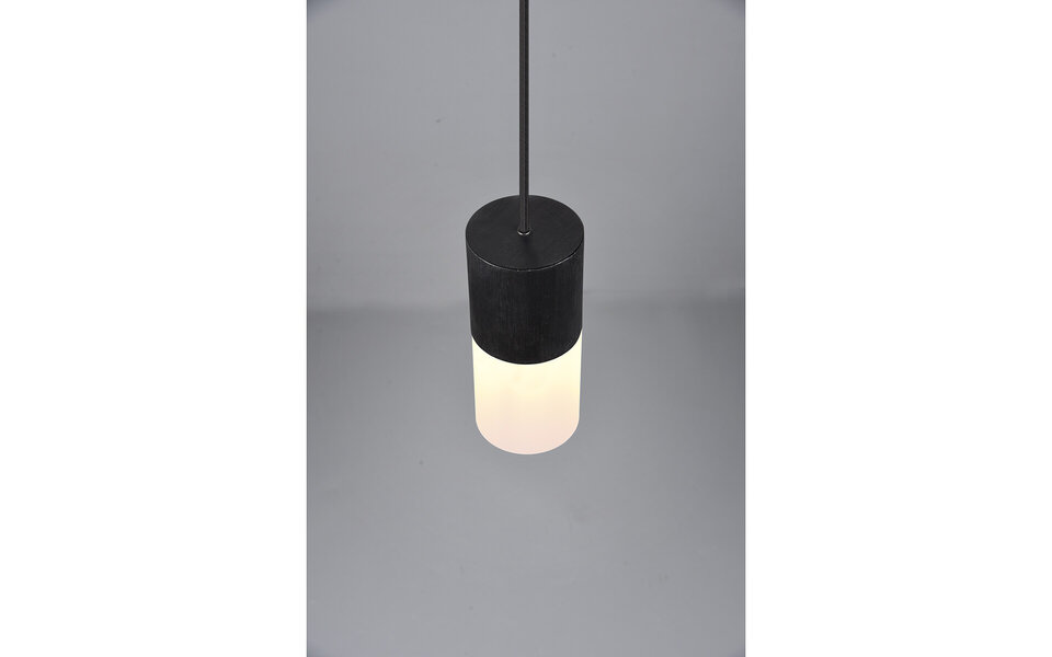 HLW LED Zwarte LED Hanglamp Trion Roba – Verstelbaar, 1-lichts, Mat Zwart Aluminium