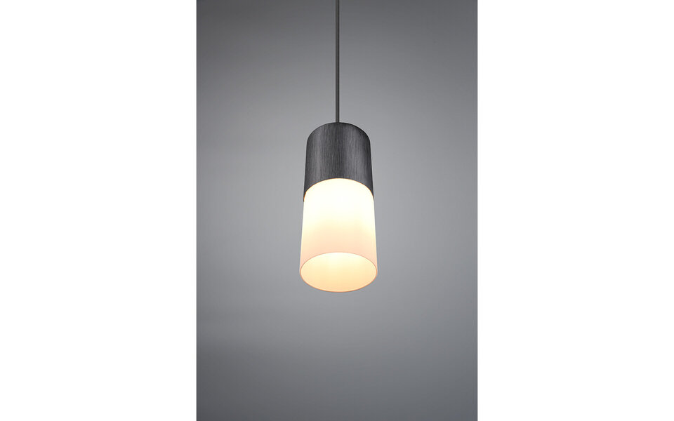 HLW LED Zwarte LED Hanglamp Trion Roba – Verstelbaar, 1-lichts, Mat Zwart Aluminium