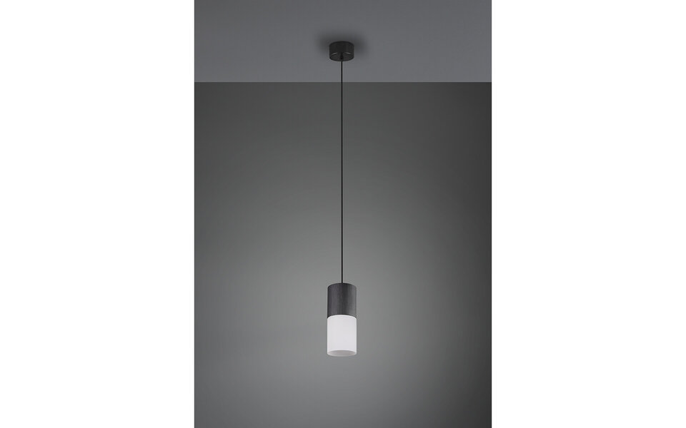 HLW LED Zwarte LED Hanglamp Trion Roba – Verstelbaar, 1-lichts, Mat Zwart Aluminium