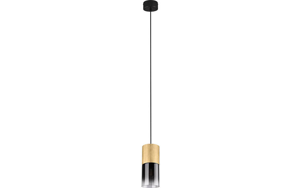 HLW LED Gouden LED Hanglamp Trion Roba - Mat Goud Aluminium, Rookglas, E27 Fitting