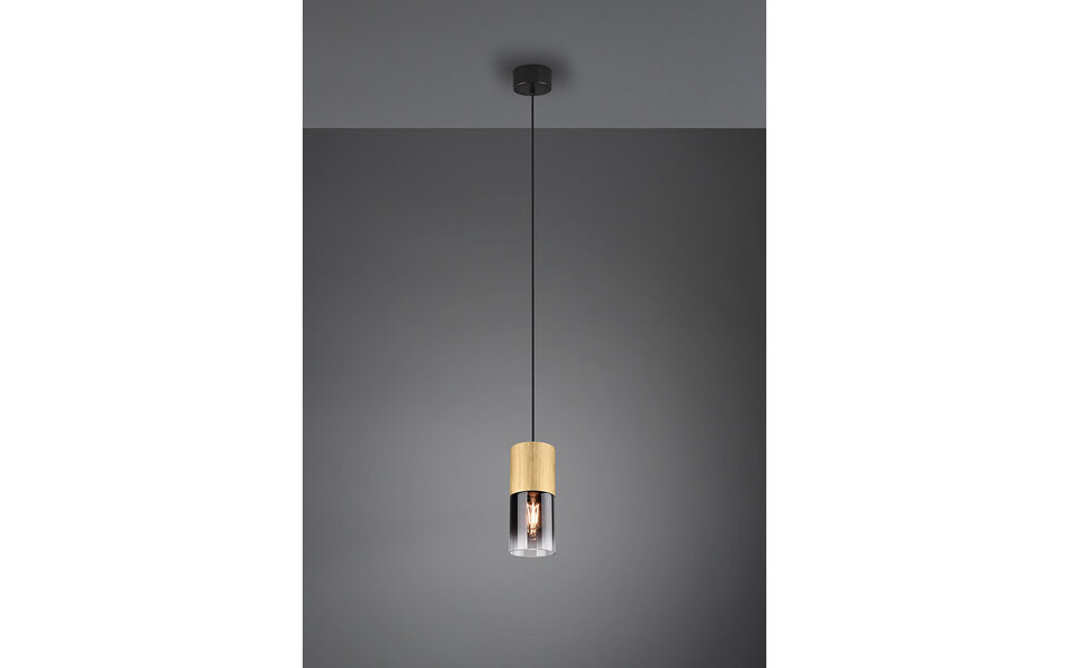 HLW LED Gouden LED Hanglamp Trion Roba - Mat Goud Aluminium, Rookglas, E27 Fitting