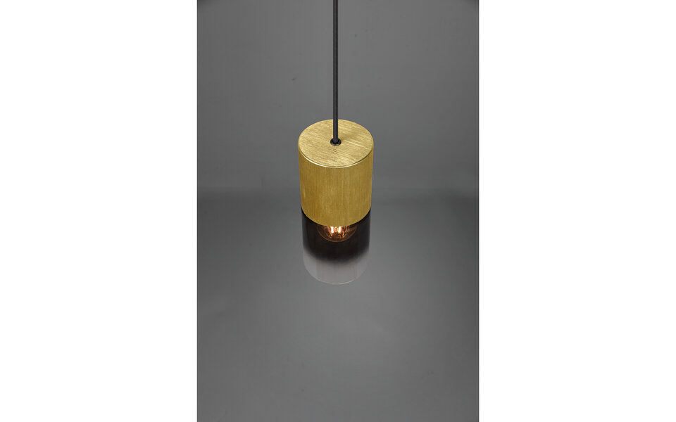 HLW LED Gouden LED Hanglamp Trion Roba - Mat Goud Aluminium, Rookglas, E27 Fitting