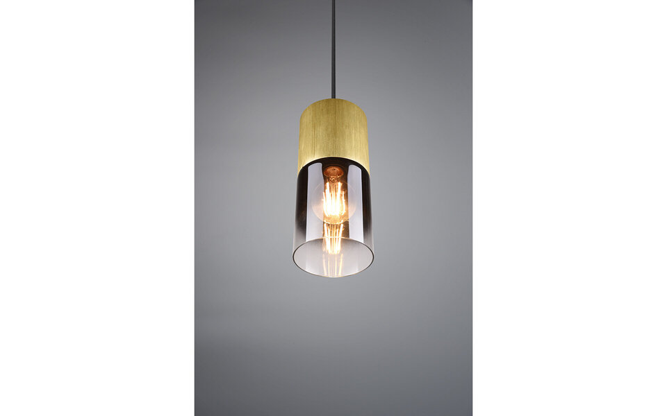 HLW LED Gouden LED Hanglamp Trion Roba - Mat Goud Aluminium, Rookglas, E27 Fitting