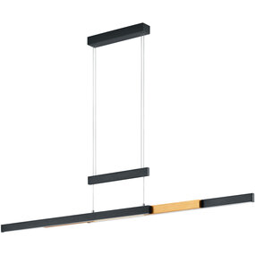 LED Hanglamp Trion Trojan - Zwart, 45W, Up & Down