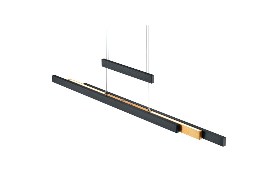 HLW LED Mat Zwarte LED Hanglamp Trion Trojan 45W met Up & Down Verlichting en Instelbare Kleur