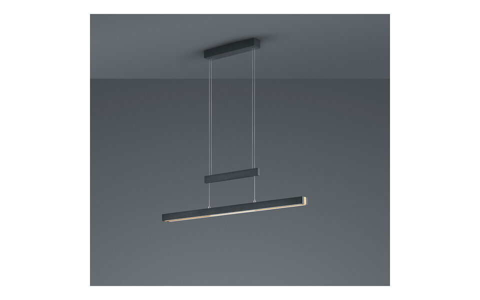 HLW LED Mat Zwarte LED Hanglamp Trion Trojan 45W met Up & Down Verlichting en Instelbare Kleur