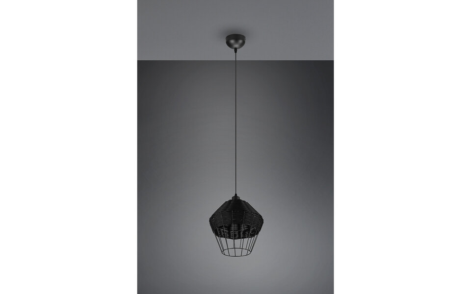 HLW LED LED Hanglamp Trion Bera XL - Zwarte LED Hanglamp met E27 fitting, verstelbaar en duurzaam