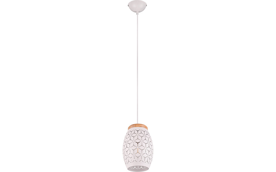 HLW LED Witte Metalen LED Hanglamp Trion Dabi - E27 Fitting, Mat Wit, Rond