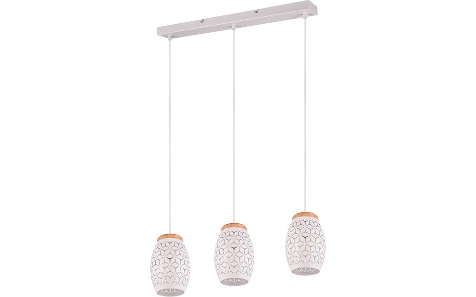 HLW LED Moderne Metalen LED Hanglamp Trion Dabi - Mat Wit, 3-lichts E27, Verstelbaar