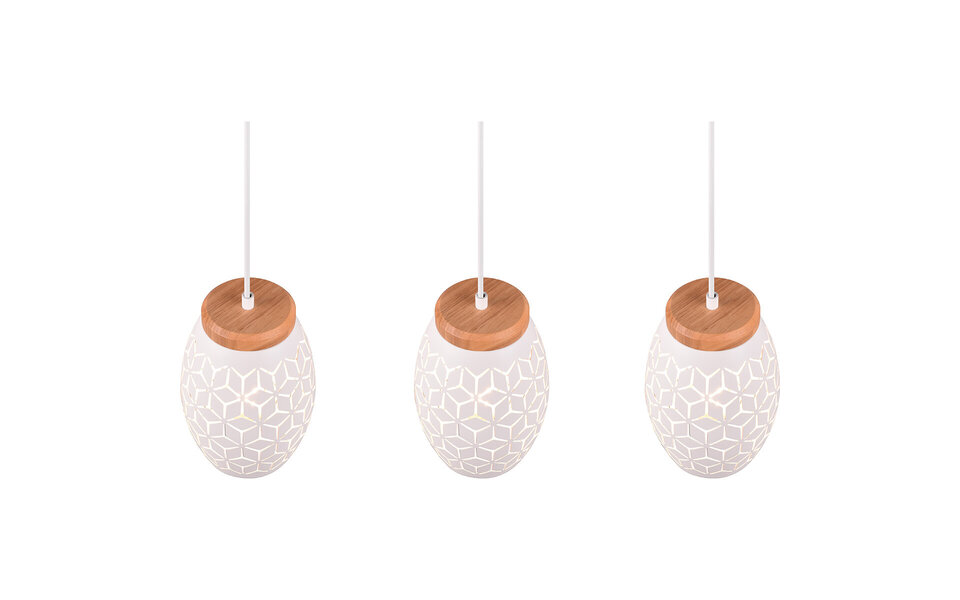 HLW LED Moderne Metalen LED Hanglamp Trion Dabi - Mat Wit, 3-lichts E27, Verstelbaar