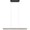 HLW LED LED Hanglamp Trion Clio 48W - Verstelbaar, Dimbaar & Geborsteld Aluminium