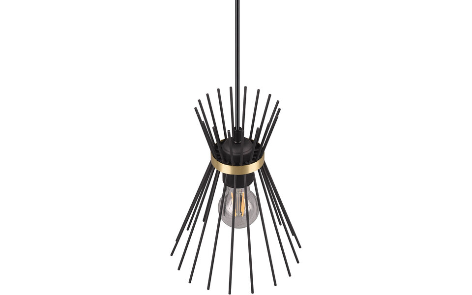 HLW LED Metalen LED Hanglamp Trion Drado - Zwarte & Gouden LED Hanglamp E27