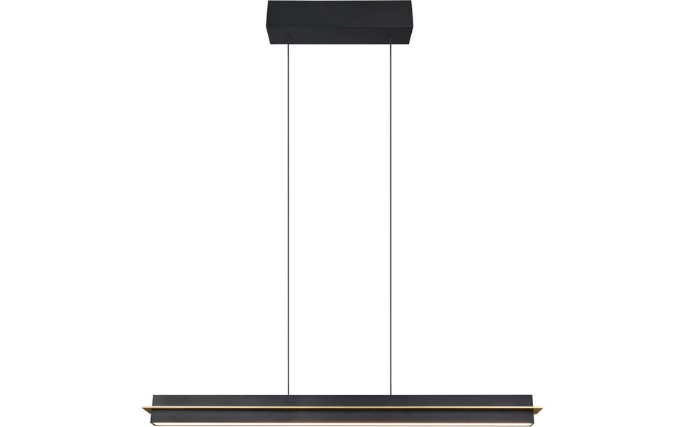 HLW LED LED Hanglamp Trion Semih - Metalen Zwarte LED Hanglamp 22W met Aanraakschakelaar