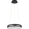 HLW LED Trion Kardo 29W Dimbare Zwarte Metalen LED Hanglamp met Aanpasbare Kleur