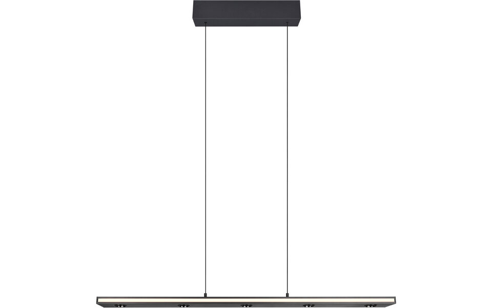 HLW LED Dimbare Zwarte LED Hanglamp 5W - Metalen LED Lamp met Aanpasbare Kleur