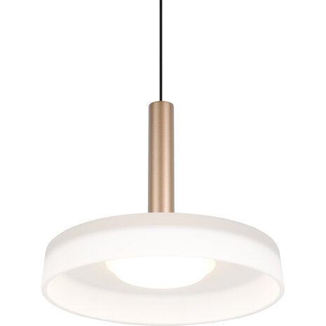 HLW LED Dimbare Metalen LED Hanglamp 10W - Warm Wit 3000K - Trion Lester