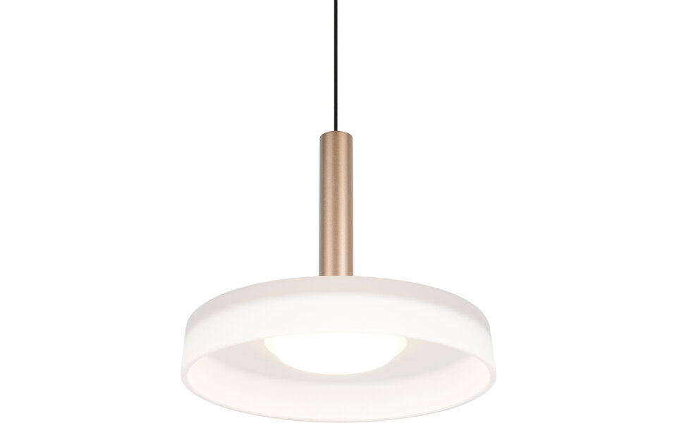 HLW LED Dimbare Metalen LED Hanglamp 10W - Warm Wit 3000K - Trion Lester