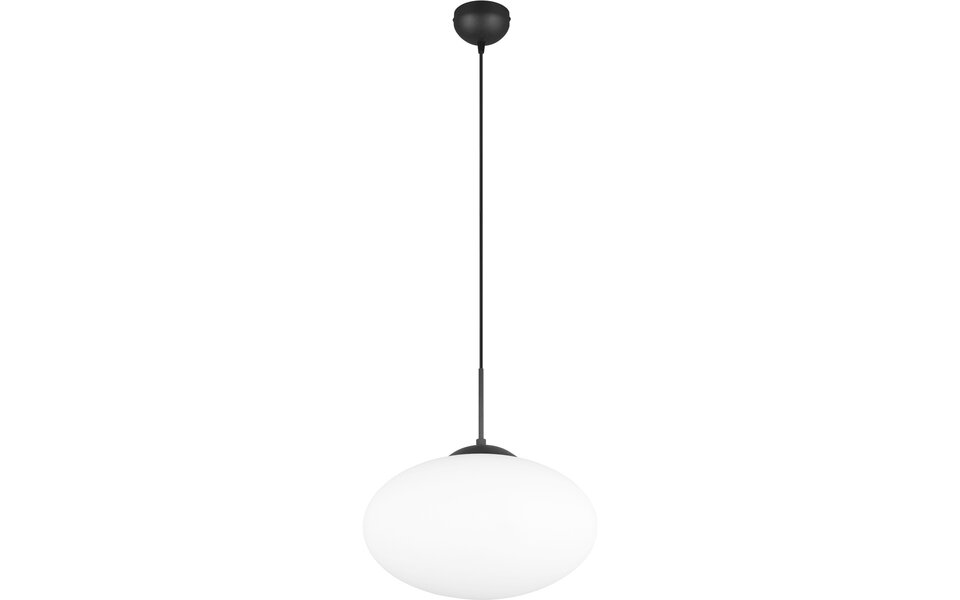 HLW LED Zwarte LED Hanglamp van Metaal - Trion Ferdi 40cm, E27, Verstelbaar