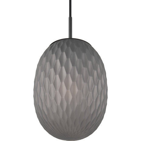 HLW LED Zwarte LED Hanglamp - Metalen LED Hanglamp met Rookkleurig Glas en E27 Fitting HLW LED Zwarte LED Hanglamp - Metalen LED Hanglamp met Rookkleurig Glas en E27 Fitting