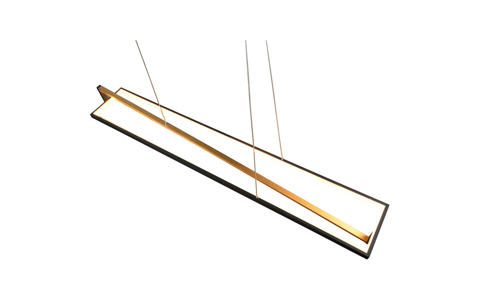 HLW LED Zwarte 35W Dimbare LED Hanglamp Trion Ediyon met Aanpasbare Kleur